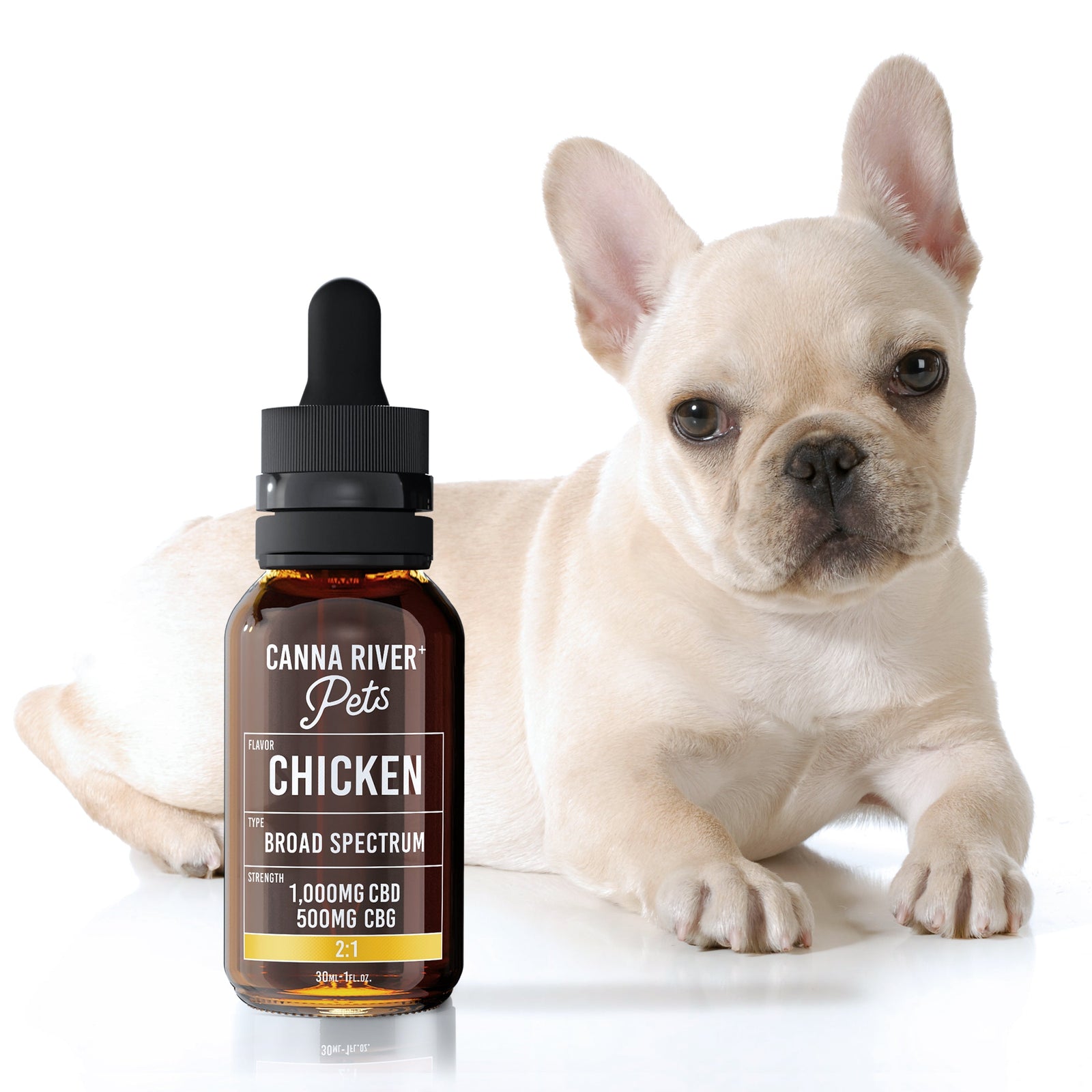 How to Use CBD To Keep Your Dog Calm During Fireworks