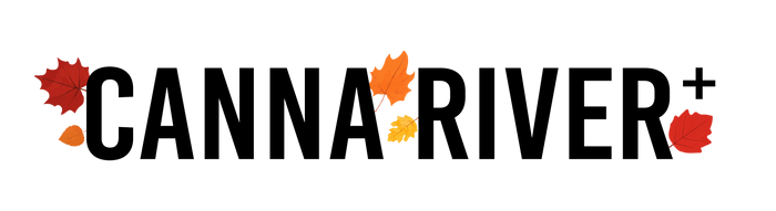 Online Premium Hemp & Best CBD Oil Products Shop Near Me