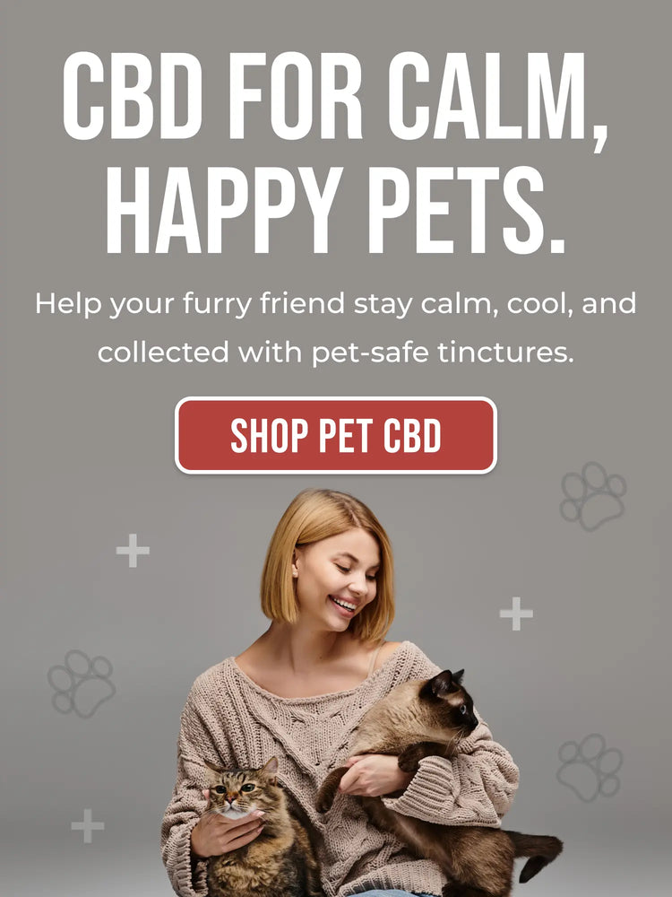 Online Premium Hemp & Best CBD Oil Products Shop Near Me